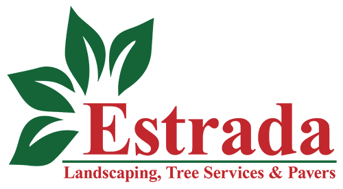 Estrada Landscaping